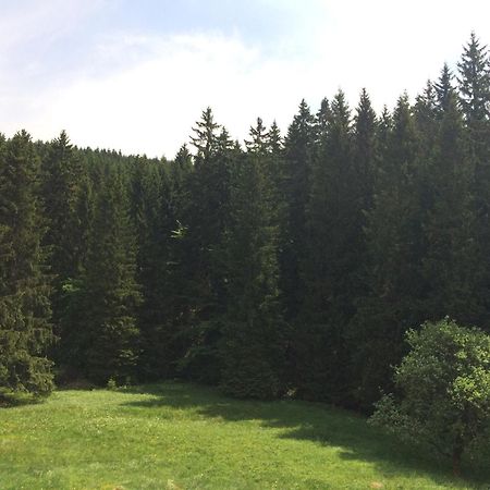 Appartements Und Ferienhaus Gasthof Kanzlersgrund 奥伯霍夫 外观 照片