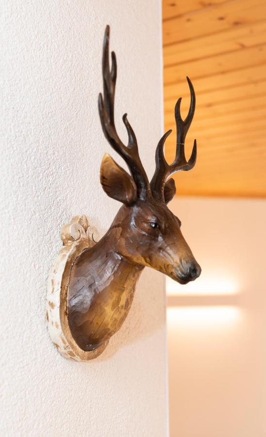 Appartements Und Ferienhaus Gasthof Kanzlersgrund 奥伯霍夫 外观 照片