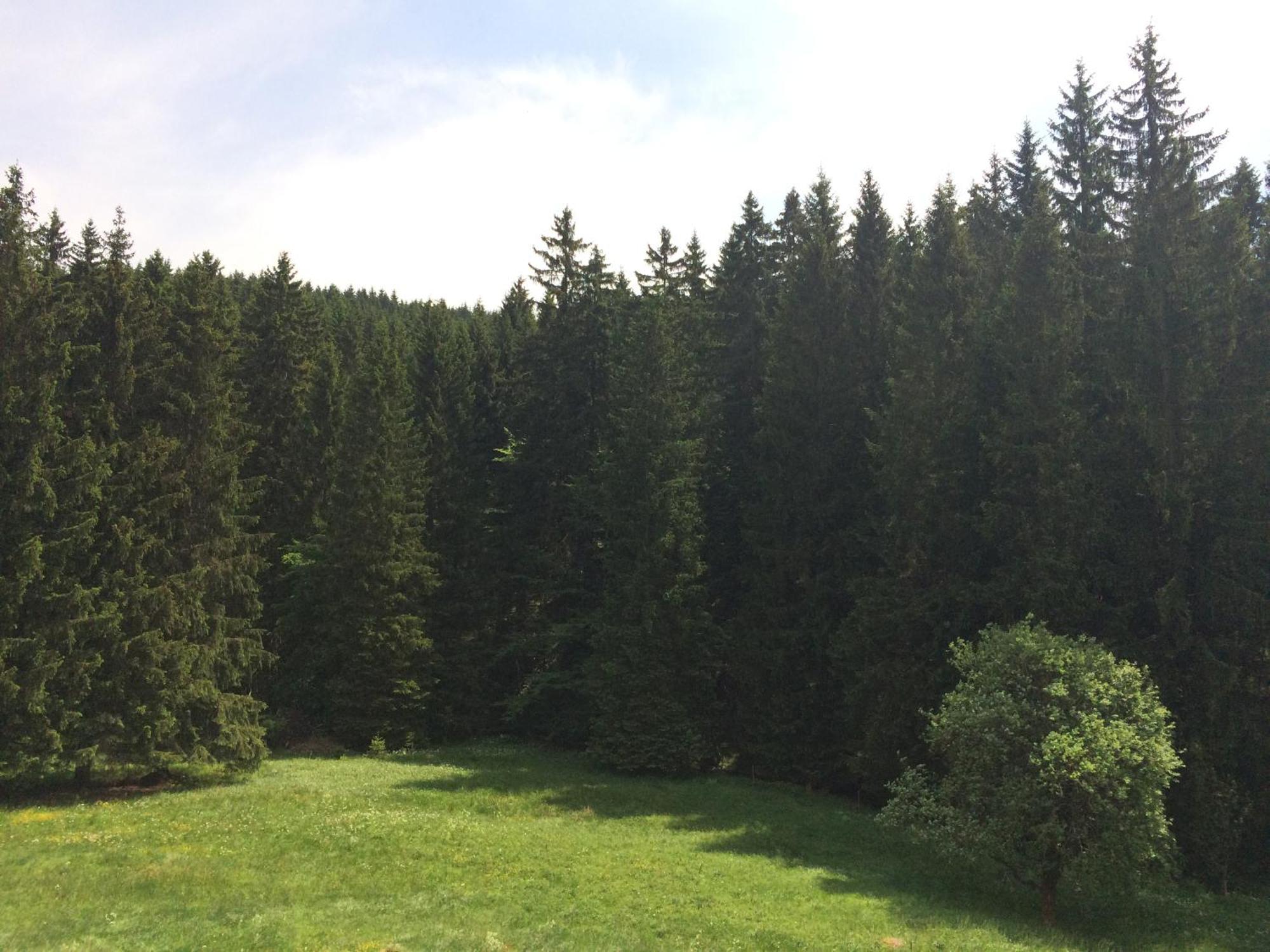 Appartements Und Ferienhaus Gasthof Kanzlersgrund 奥伯霍夫 外观 照片