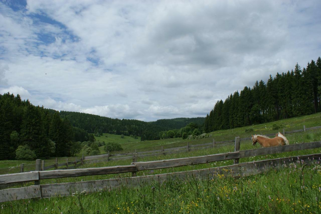 Appartements Und Ferienhaus Gasthof Kanzlersgrund 奥伯霍夫 外观 照片