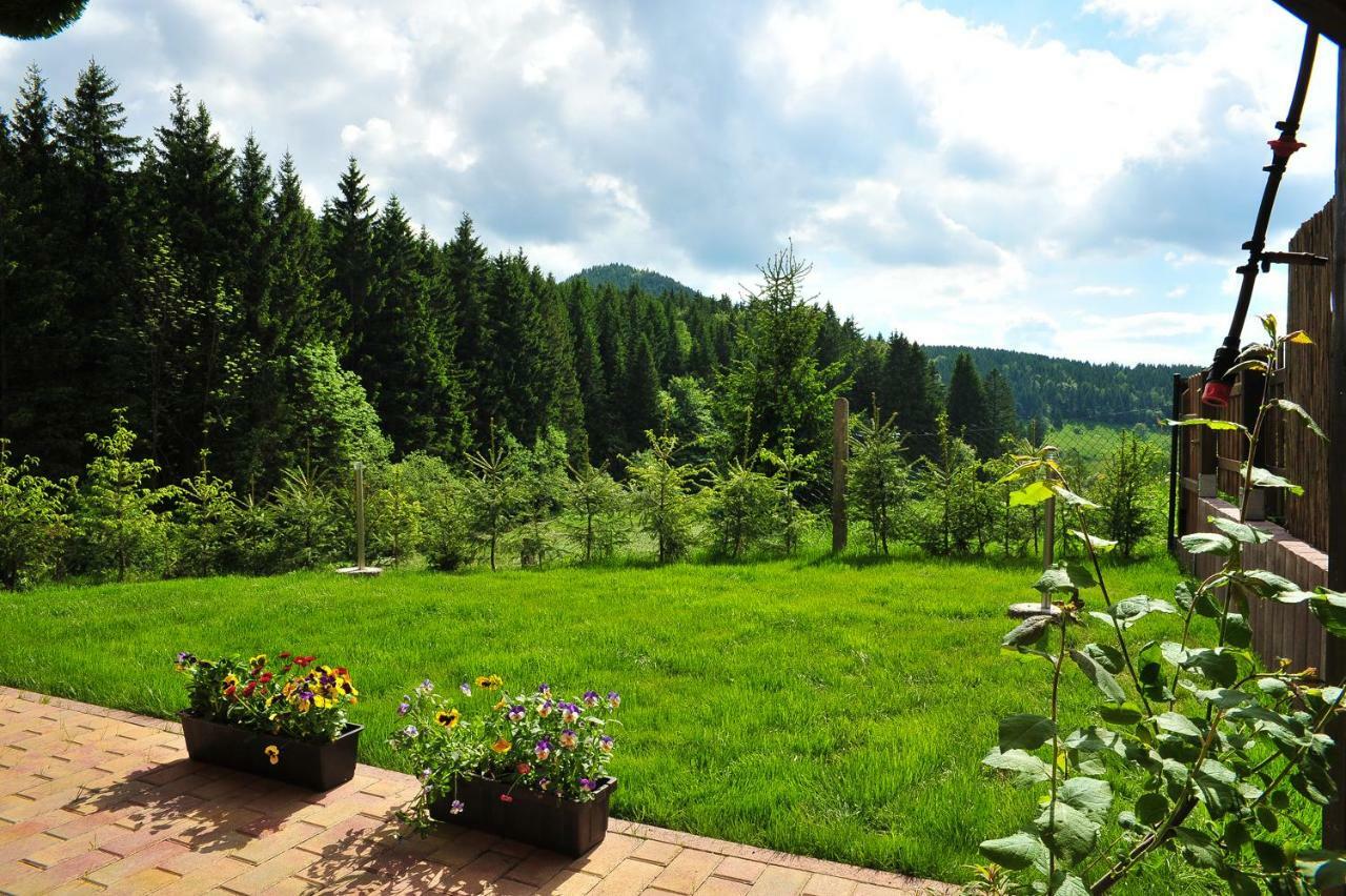 Appartements Und Ferienhaus Gasthof Kanzlersgrund 奥伯霍夫 外观 照片