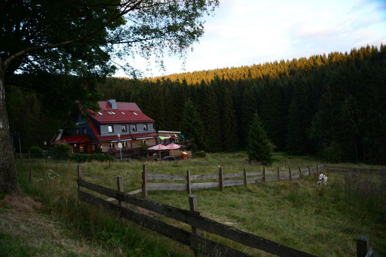 Appartements Und Ferienhaus Gasthof Kanzlersgrund 奥伯霍夫 外观 照片
