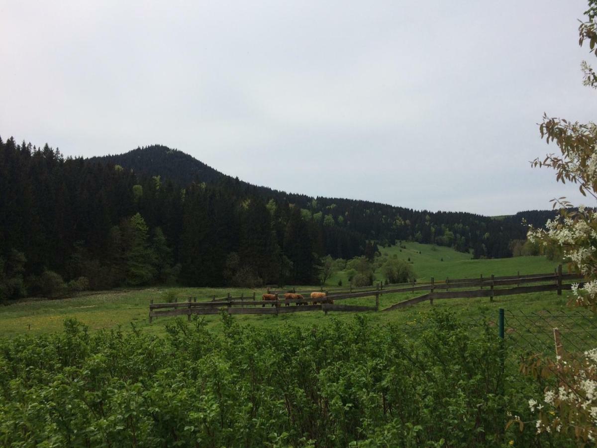 Appartements Und Ferienhaus Gasthof Kanzlersgrund 奥伯霍夫 外观 照片